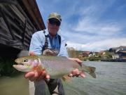 Tim and chalk stream Rainbow